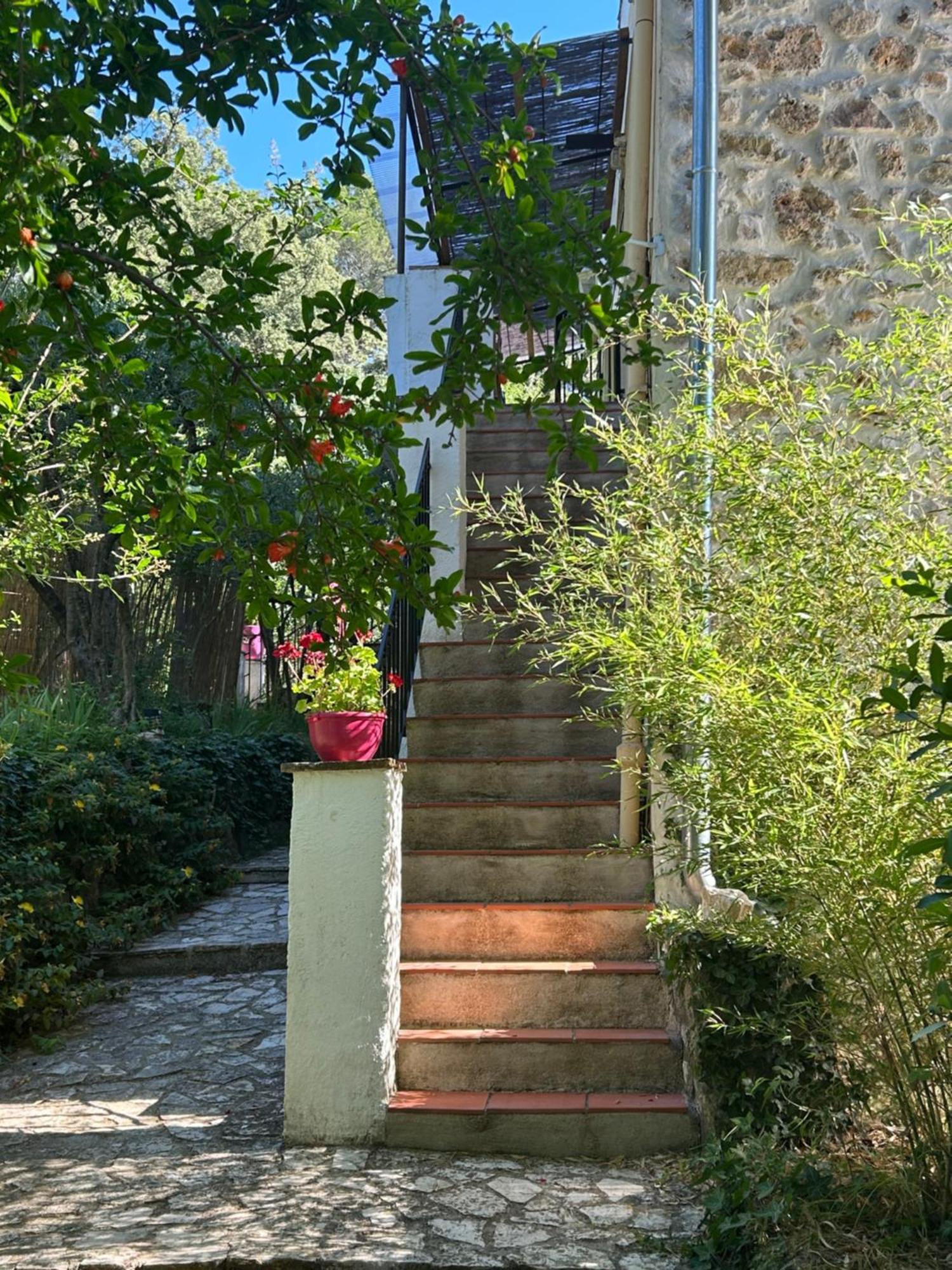 Bastide Des Hesperides Apartman Flayosc Kültér fotó